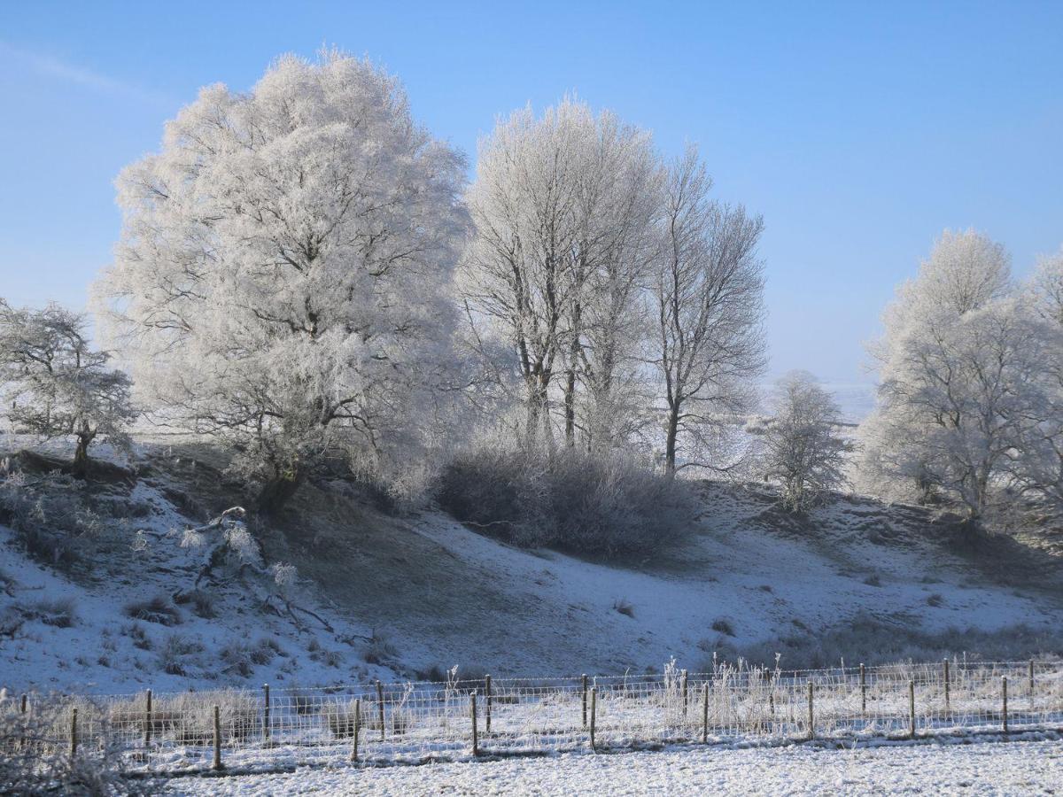 Macaw Cottages, No 4 Kirkby Stephen Buitenkant foto